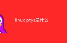 linux ptys是什么