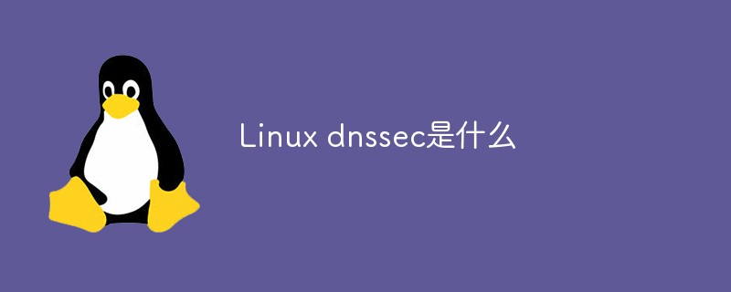 What is Linux dnssec