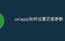uniapp如何设置页面参数