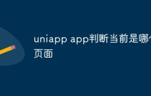 uniapp app怎么判断当前是哪个页面