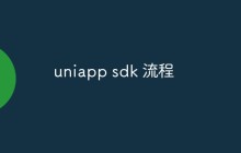 详细介绍 uniapp sdk 的流程