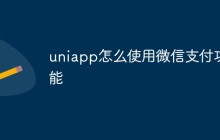 如何使用uniapp实现微信支付功能