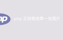 php怎么使用正则替换第一张图片