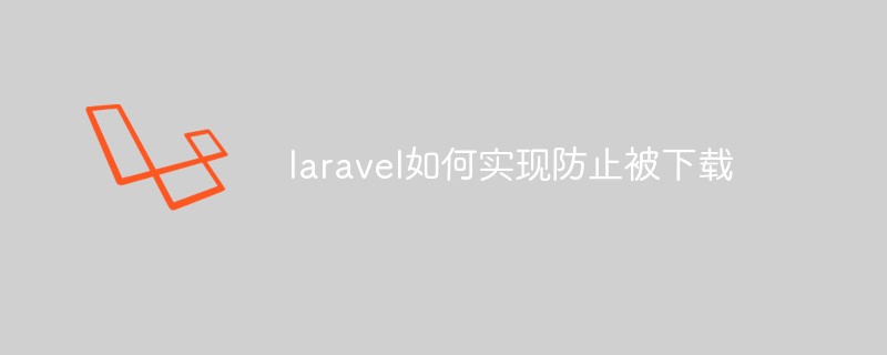 Laravel 다운로드를 방지하는 방법