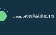 uniapp如何集成原生开发