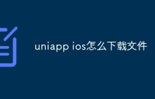 聊聊UniApp iOS下载文件的方法和步骤