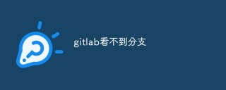 GitLab看不到分支的原因和解决方法