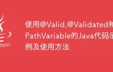使用@Valid,@Validated和@PathVariable的Java代码示例及使用方法