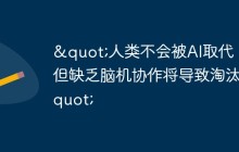 "人类不会被AI取代，但缺乏脑机协作将导致淘汰"