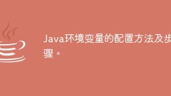 How to configure Java environment variables and steps.