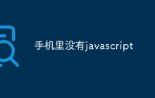 手机里没有JavaScript会怎样