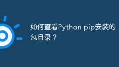 Wie kann ich das von Python pip installierte Paketverzeichnis anzeigen?