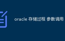 如何在Oracle存储过程中使用参数进行调用