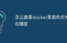 怎么查看docker里面的文件在哪里