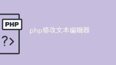 PHP에서 텍스트 편집기를 수정하는 방법
