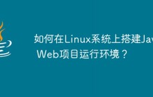 如何在Linux系统上搭建Java Web项目运行环境？