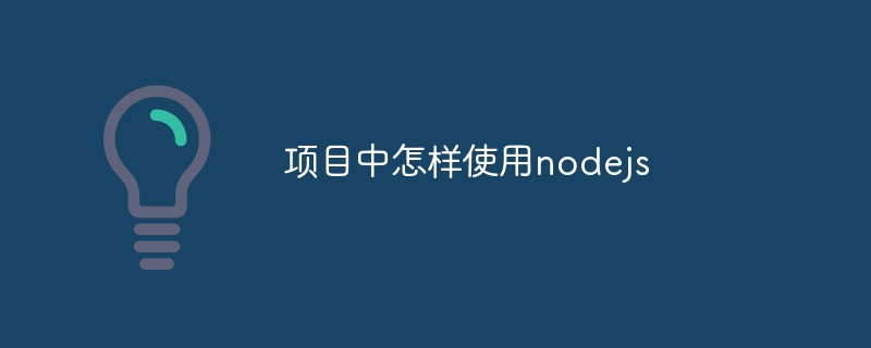 プロジェクトでnodejsを使用する方法