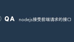 Wie akzeptiert NodeJS die vom Frontend angeforderte Schnittstelle?