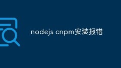 Was tun, wenn bei der Installation von nodejs cnpm ein Fehler auftritt?