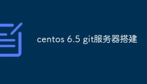 如何在CentOS 6.5系统中搭建Git服务器