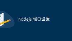 So legen Sie den NodeJS-Port fest