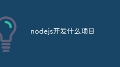 Welche Projekte werden mit NodeJS entwickelt?