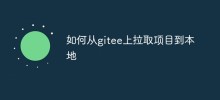如何從gitee上拉取項目到本地