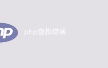 php查找错误怎么办