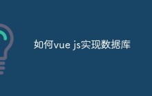 如何在 Vue.js 中操作数据库