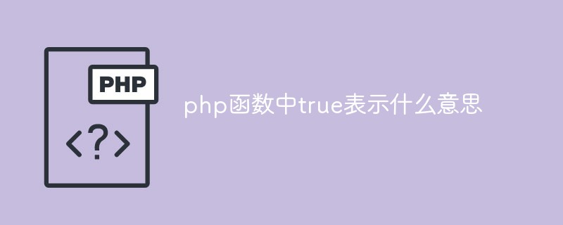 Was bedeutet wahr in der PHP-Funktion?