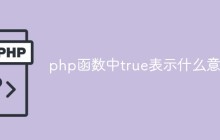 php函数中true表示什么意思