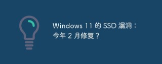 Windows 11 的 SSD 漏洞：今年 2 月修复？