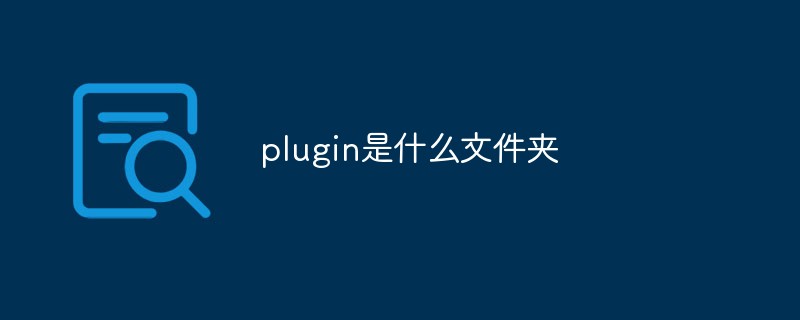 plugin是什么文件夹