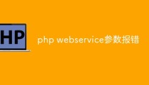 php webservice参数报错