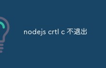 nodejs crtl c 不退出