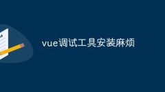 vue デバッグ ツールのインストールに関する問題