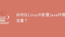 如何在Linux中配置Java环境变量？