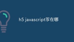 Wo ist h5-Javascript geschrieben?