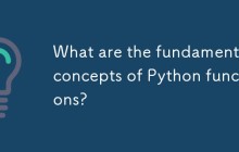 What are the fundamental concepts of Python functions?