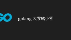 golang majuscule en minuscule