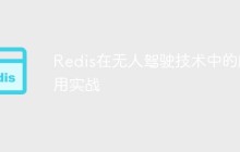 Redis在无人驾驶技术中的应用实战