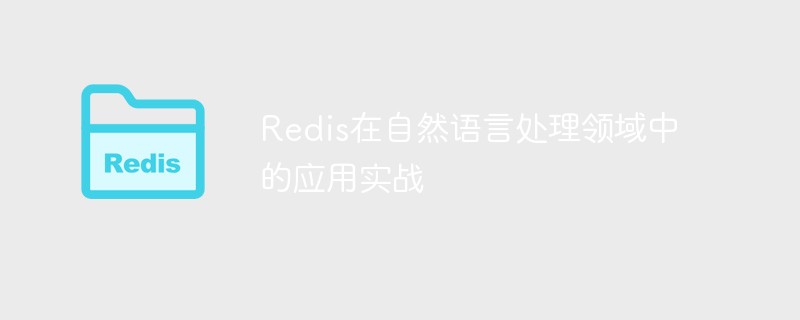 The practical application of Redis in the field of natural language processing