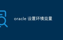 oracle 设置环境变量