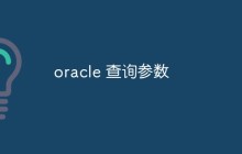 oracle 查询参数