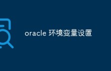 oracle 环境变量设置