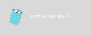 如何在Go中使用指针？