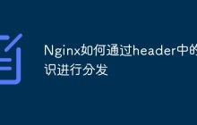 Nginx如何通过header中的标识进行分发