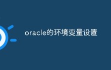 oracle的环境变量设置