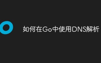 如何在Go中使用DNS解析?