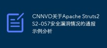 Apache Struts2 S2-057 セキュリティ脆弱性に関する CNNVD レポートの分析例